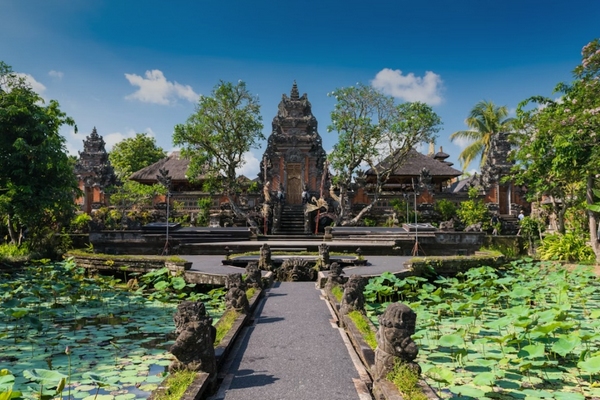 Ubud Full Day Tour